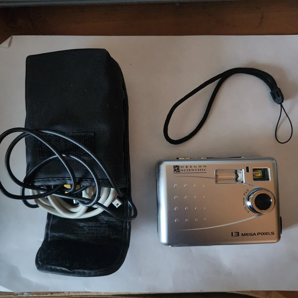 DSHOT III 1.3 Mega Pixel Digital Camera - Silver